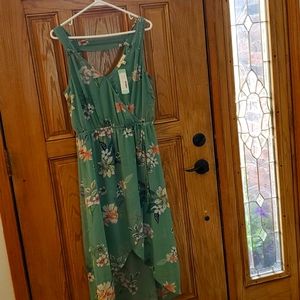 Serein Reine Cinched Tulip Midi Dress Flex Green -